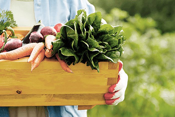 Gastronomia_Locale Gastronomia Locale