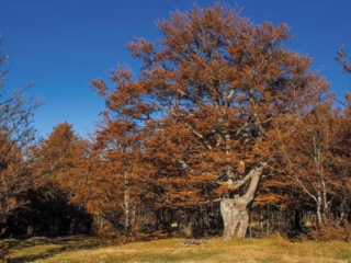 Territorio 1 1024x683