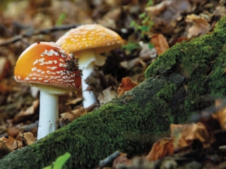 Territorio 14 1024x683