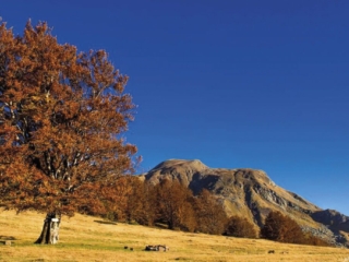 Territorio 2 1024x683