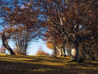 Territorio 3 1024x683