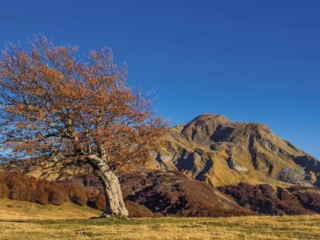 Territorio 5 1024x683