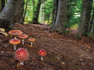 Territorio 6 1024x683