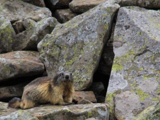 Territorio 7 1024x683