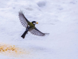 Territorio 8 1024x683