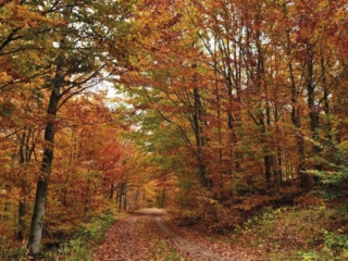 Territorio 9 1024x683