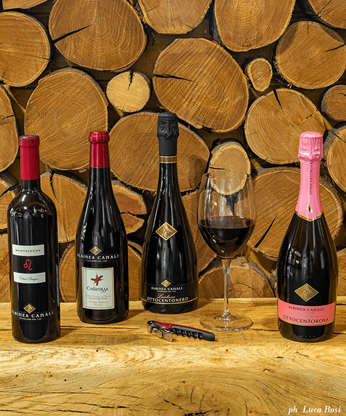 vini-del-territorio vini del territorio